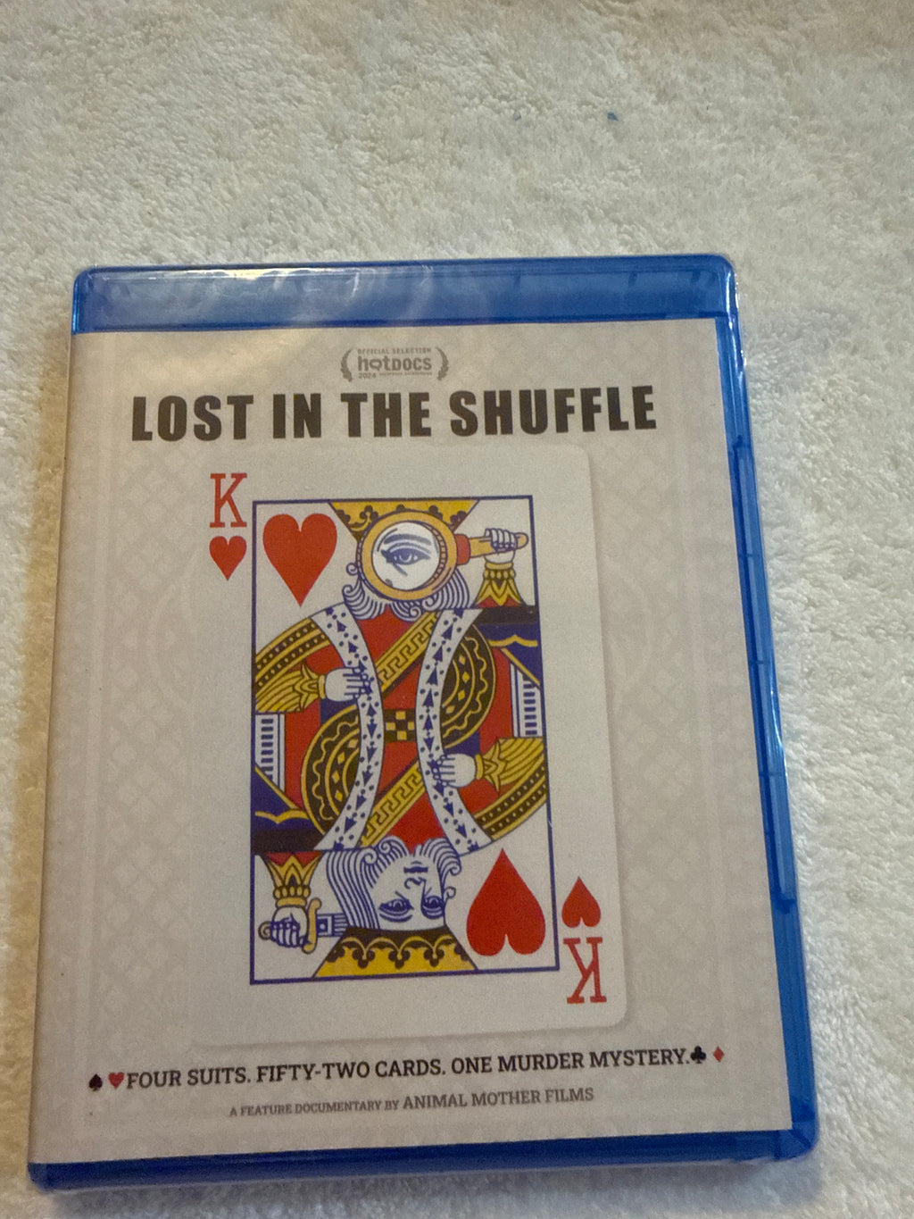 Lost in the Shuffle movie